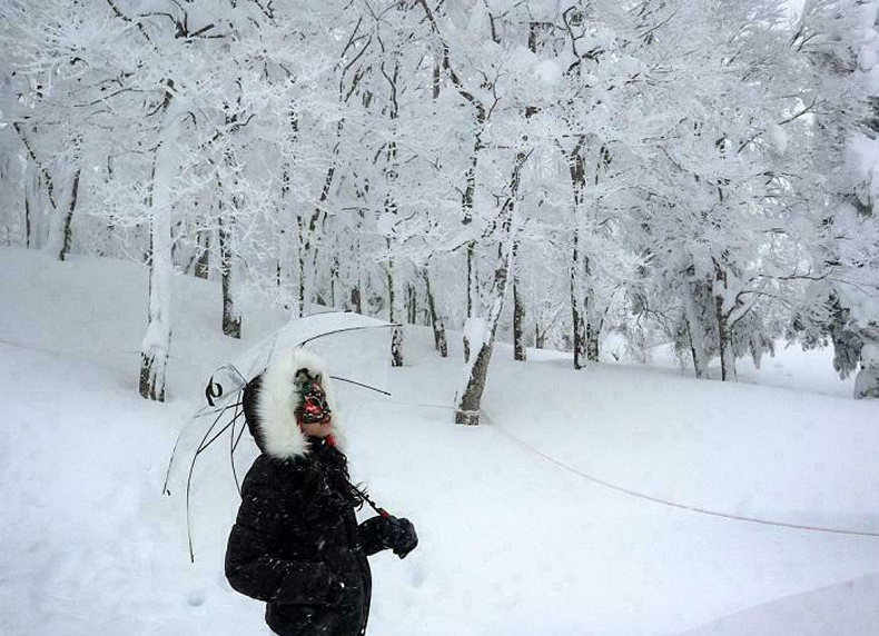 Truy tìm quái vật tuyết núi Zao ở Nhật Bản
