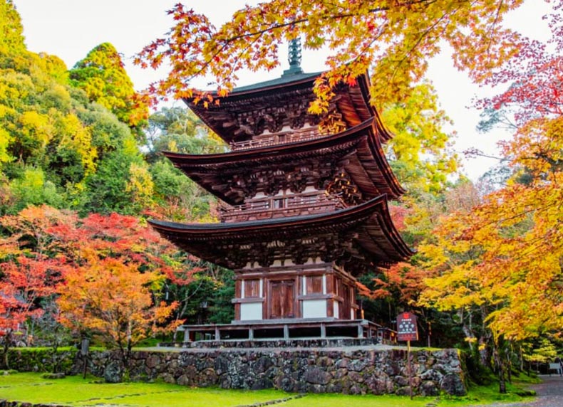 Hanachozu Nhật Bản - Nét đẹp bí ẩn trong các nghi lễ tại chùa, đền